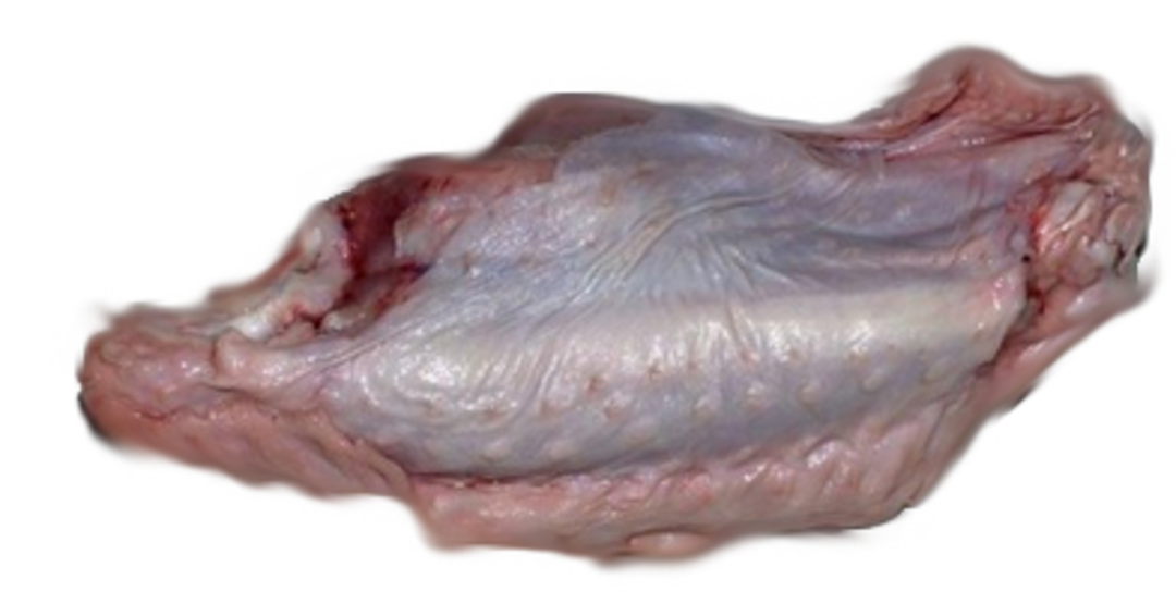 Frozen Turkey Nibbles  1kg - image 1